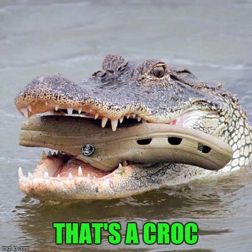 THAT'S A CROC | made w/ Imgflip meme maker