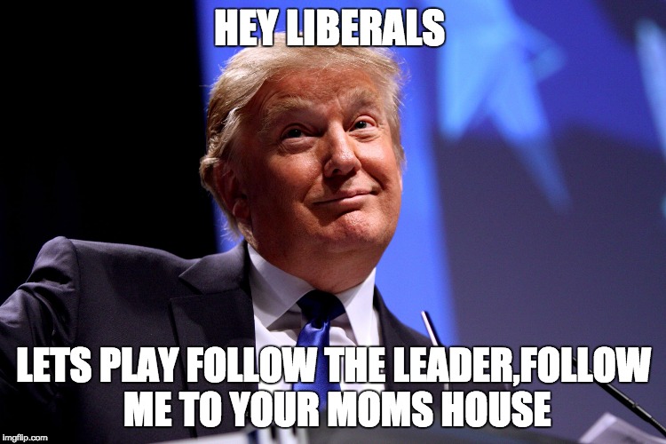 Donald Trump No2 | HEY LIBERALS; LETS PLAY FOLLOW THE LEADER,FOLLOW ME TO YOUR MOMS HOUSE | image tagged in donald trump no2 | made w/ Imgflip meme maker