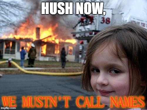 Disaster Girl Meme | HUSH NOW, WE MUSTN'T CALL NAMES | image tagged in memes,disaster girl | made w/ Imgflip meme maker