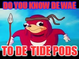de wae | DO YOU KNOW DE WAE; TO DE  TIDE PODS | image tagged in tide pods | made w/ Imgflip meme maker