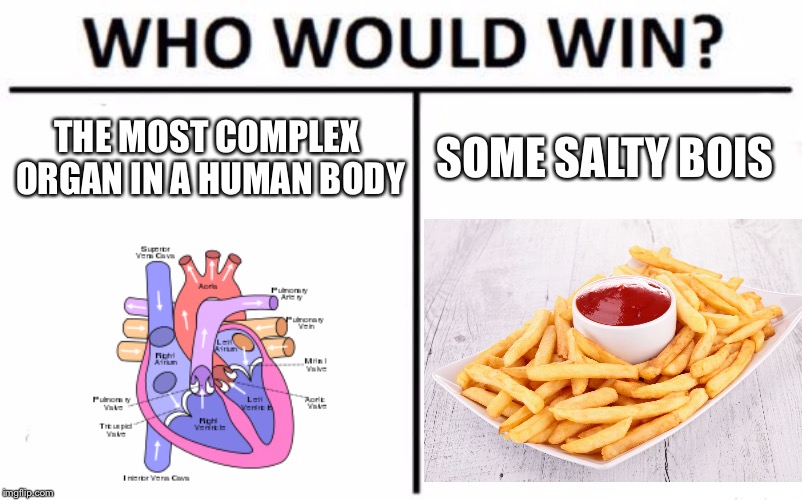Who Would Win? Meme | THE MOST COMPLEX ORGAN IN A HUMAN BODY; SOME SALTY BOIS | image tagged in memes,who would win | made w/ Imgflip meme maker