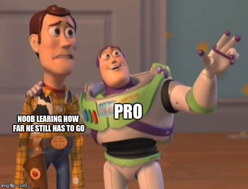 X, X Everywhere Meme | PRO; NOOB LEARING HOW FAR HE STILL HAS TO GO | image tagged in memes,x x everywhere | made w/ Imgflip meme maker