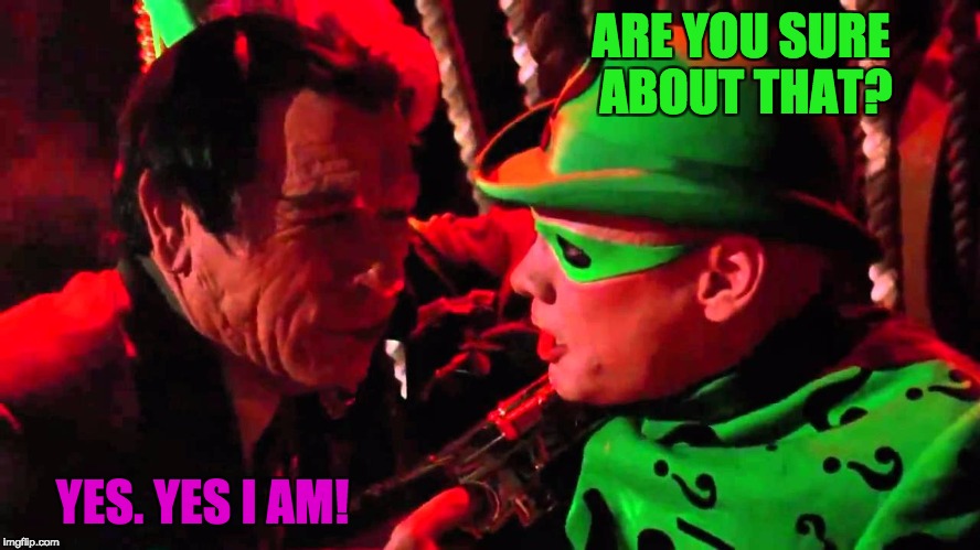 Two face, And Riddler | ARE YOU SURE ABOUT THAT? YES. YES I AM! | image tagged in two face and riddler | made w/ Imgflip meme maker