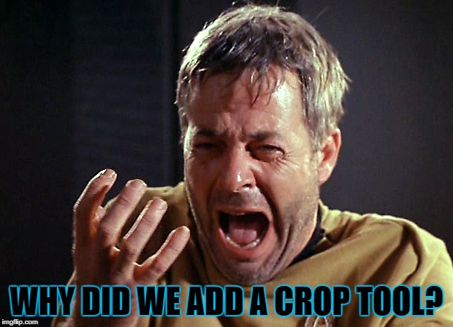 WHY DID WE ADD A CROP TOOL? | made w/ Imgflip meme maker