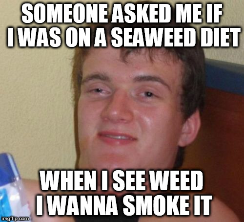 10 Guy Meme | SOMEONE ASKED ME IF I WAS ON A SEAWEED DIET; WHEN I SEE WEED I WANNA SMOKE IT | image tagged in memes,10 guy | made w/ Imgflip meme maker
