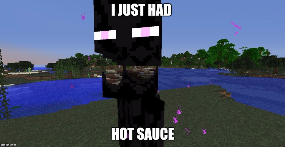 Endermeme | I JUST HAD; HOT SAUCE | image tagged in endermeme | made w/ Imgflip meme maker