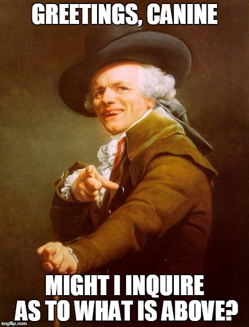 Joseph Ducreux Meme | GREETINGS, CANINE; MIGHT I INQUIRE AS TO WHAT IS ABOVE? | image tagged in memes,joseph ducreux | made w/ Imgflip meme maker