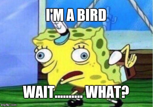 Mocking Spongebob Meme | I'M A BIRD; WAIT.......... WHAT? | image tagged in memes,mocking spongebob | made w/ Imgflip meme maker