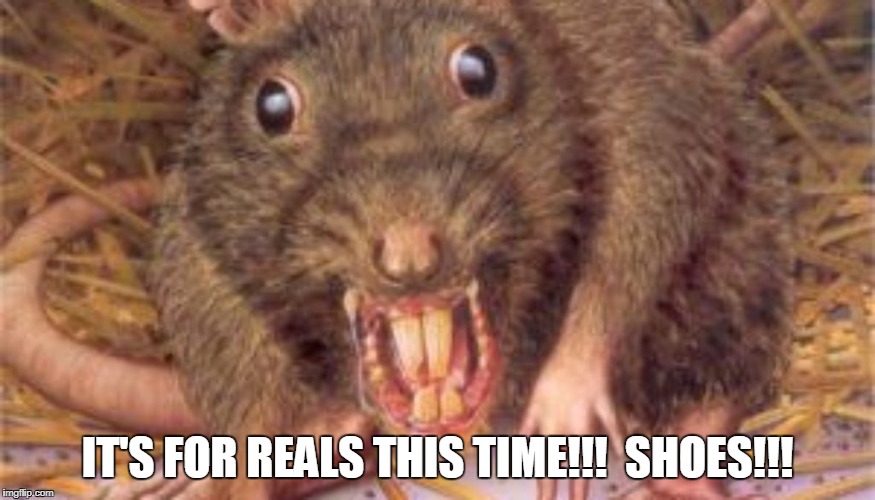 IT'S FOR REALS THIS TIME!!!  SHOES!!! | made w/ Imgflip meme maker