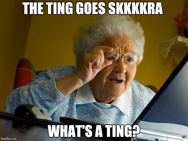 Grandma Finds The Internet Meme | THE TING GOES SKKKKRA; WHAT'S A TING? | image tagged in memes,grandma finds the internet | made w/ Imgflip meme maker