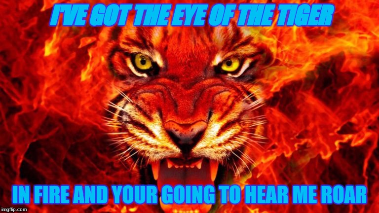 I'VE GOT THE EYE OF THE TIGER; IN FIRE AND YOUR GOING TO HEAR ME ROAR | image tagged in firefox omg's meme | made w/ Imgflip meme maker