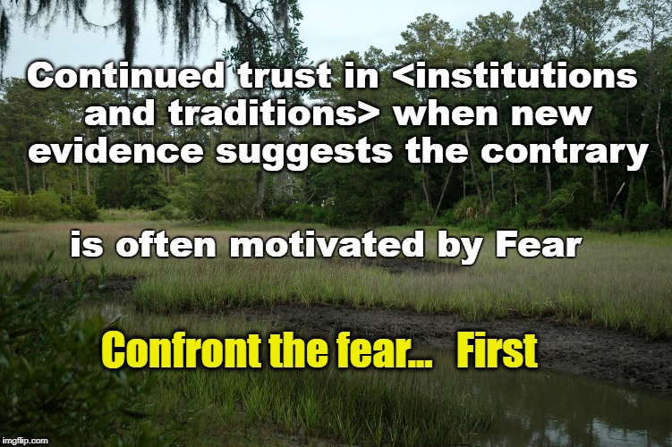 Confront the Fear | Continued trust in <institutions and traditions> when new evidence suggests the contrary; is often motivated by Fear; Confront the fear...   First | image tagged in swamps,trust,fear,confront | made w/ Imgflip meme maker