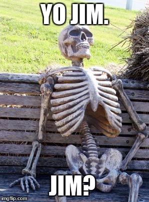 Waiting Skeleton | YO JIM. JIM? | image tagged in memes,waiting skeleton | made w/ Imgflip meme maker