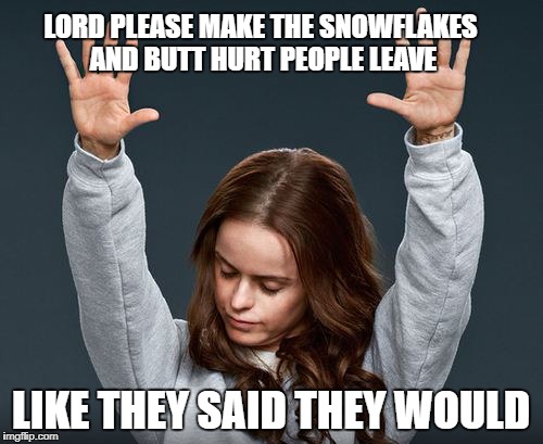 LORD PLEASE MAKE THE SNOWFLAKES AND BUTT HURT PEOPLE LEAVE LIKE THEY SAID THEY WOULD | made w/ Imgflip meme maker