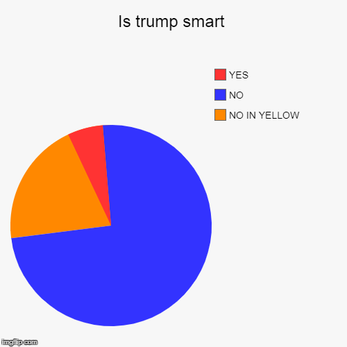 Is trump smart | NO IN YELLOW, NO, YES | image tagged in funny,pie charts | made w/ Imgflip chart maker
