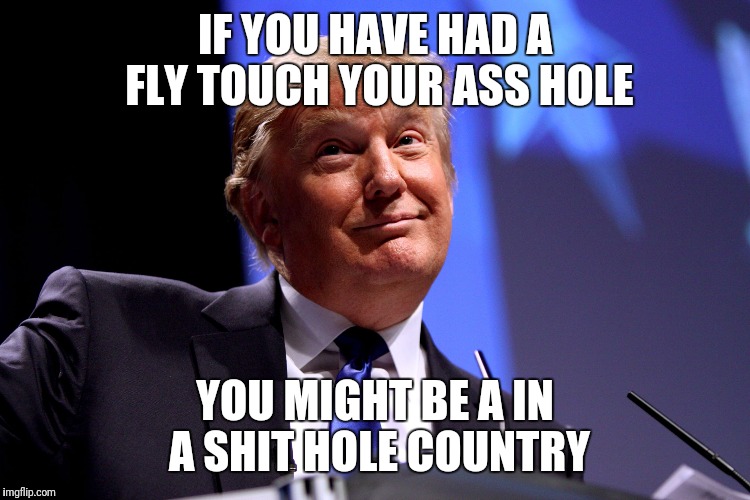 Donald Trump | IF YOU HAVE HAD A FLY TOUCH YOUR ASS HOLE; YOU MIGHT BE A IN A SHIT HOLE COUNTRY | image tagged in donald trump | made w/ Imgflip meme maker