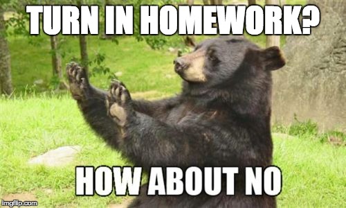 How About No Bear | TURN IN HOMEWORK? | image tagged in memes,how about no bear | made w/ Imgflip meme maker