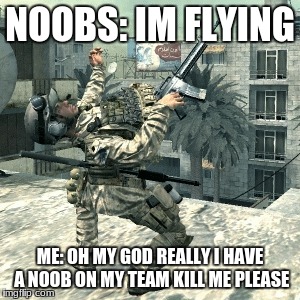 Just Did This For Fun | NOOBS: IM FLYING; ME: OH MY GOD REALLY I HAVE A NOOB ON MY TEAM KILL ME PLEASE | image tagged in memes,first world problems,noobs | made w/ Imgflip meme maker