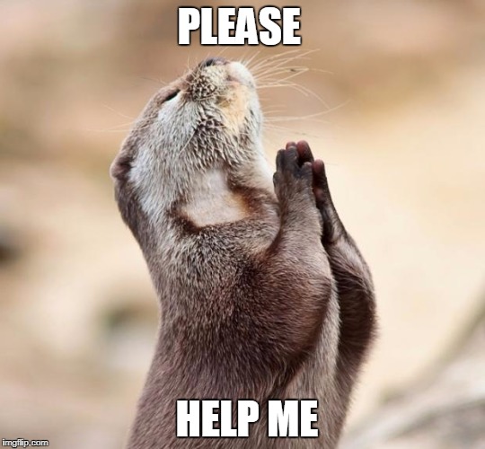 animal praying | PLEASE; HELP ME | image tagged in animal praying | made w/ Imgflip meme maker