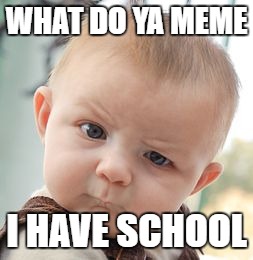 what do you meme | WHAT DO YA MEME; I HAVE SCHOOL | image tagged in memes,confession kid,funny memes,cringe,meme,funny | made w/ Imgflip meme maker