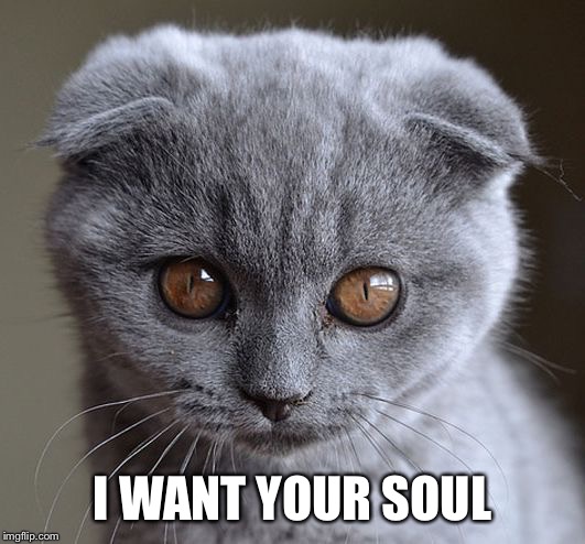 I WANT YOUR SOUL | image tagged in i want your soul | made w/ Imgflip meme maker