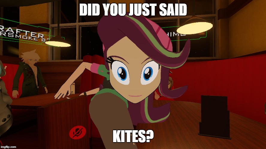 kites | DID YOU JUST SAID; KITES? | image tagged in kites | made w/ Imgflip meme maker