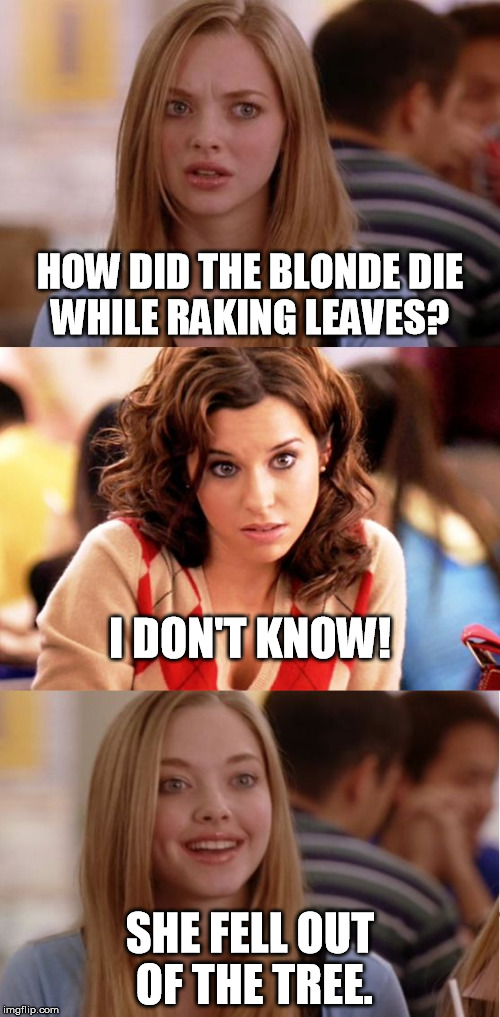 Blonde Pun | HOW DID THE BLONDE DIE WHILE RAKING LEAVES? I DON'T KNOW! SHE FELL OUT OF THE TREE. | image tagged in blonde pun | made w/ Imgflip meme maker