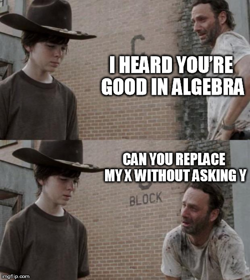 Rick and Carl Meme | I HEARD YOU’RE GOOD IN ALGEBRA; CAN YOU REPLACE MY X WITHOUT ASKING Y | image tagged in memes,rick and carl | made w/ Imgflip meme maker