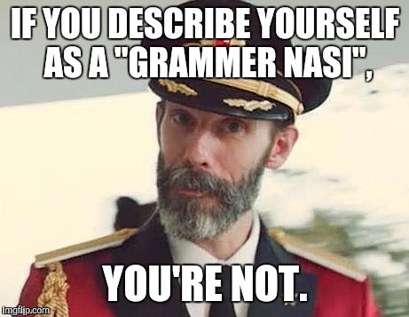 Captain Obvious | IF YOU DESCRIBE YOURSELF AS A "GRAMMER NASI", YOU'RE NOT. | image tagged in captain obvious | made w/ Imgflip meme maker