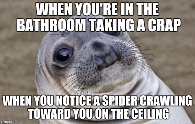 Awkward Moment Sealion | WHEN YOU'RE IN THE BATHROOM TAKING A CRAP; WHEN YOU NOTICE A SPIDER CRAWLING TOWARD YOU ON THE CEILING | image tagged in memes,awkward moment sealion | made w/ Imgflip meme maker