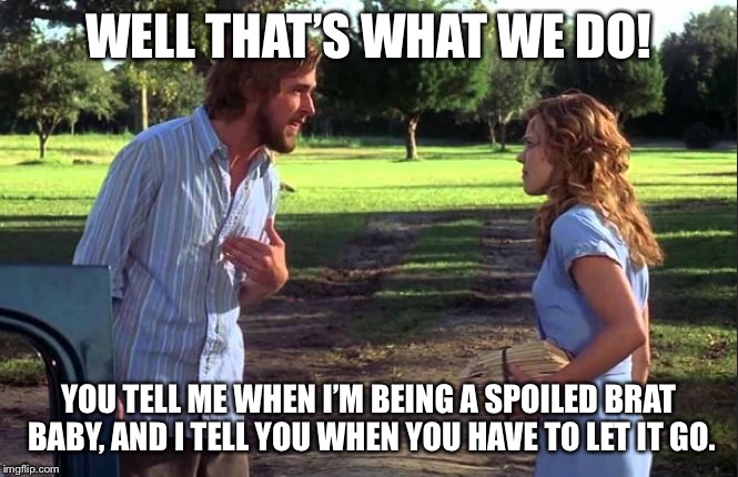 the notebook | WELL THAT’S WHAT WE DO! YOU TELL ME WHEN I’M BEING A SPOILED BRAT BABY, AND I TELL YOU WHEN YOU HAVE TO LET IT GO. | image tagged in the notebook | made w/ Imgflip meme maker