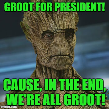 I am Groot | GROOT FOR PRESIDENT! CAUSE, IN THE END, WE'RE ALL GROOT! | image tagged in i am groot | made w/ Imgflip meme maker