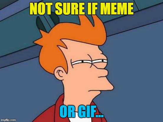 Futurama Fry Meme | NOT SURE IF MEME OR GIF... | image tagged in memes,futurama fry | made w/ Imgflip meme maker