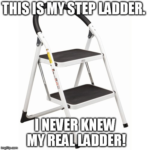 Step Ladder | THIS IS MY STEP LADDER. I NEVER KNEW MY REAL LADDER! | image tagged in step ladder | made w/ Imgflip meme maker