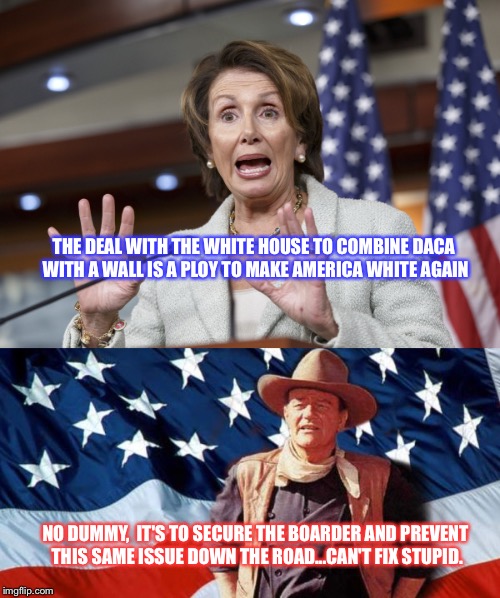 THE DEAL WITH THE WHITE HOUSE TO COMBINE DACA WITH A WALL IS A PLOY TO MAKE AMERICA WHITE AGAIN; NO DUMMY,  IT'S TO SECURE THE BOARDER AND PREVENT THIS SAME ISSUE DOWN THE ROAD...CAN'T FIX STUPID. | image tagged in nancy pelosi | made w/ Imgflip meme maker