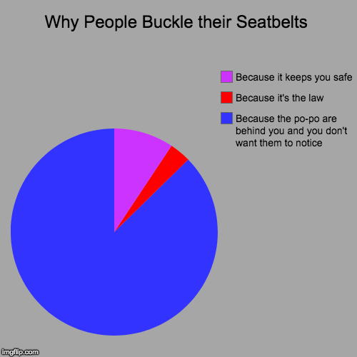 Don't want that on your record | Why People Buckle their Seatbelts | Because the po-po are behind you and you don't want them to notice, Because it's the law, Because it kee | image tagged in funny,pie charts,seatbelts,seatbelt,police | made w/ Imgflip chart maker
