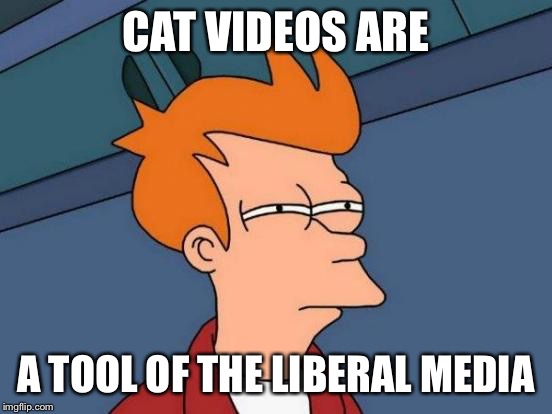 Futurama Fry Meme | CAT VIDEOS ARE A TOOL OF THE LIBERAL MEDIA | image tagged in memes,futurama fry | made w/ Imgflip meme maker