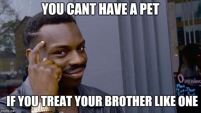 Roll Safe Think About It Meme | YOU CANT HAVE A PET; IF YOU TREAT YOUR BROTHER LIKE ONE | image tagged in memes,roll safe think about it | made w/ Imgflip meme maker