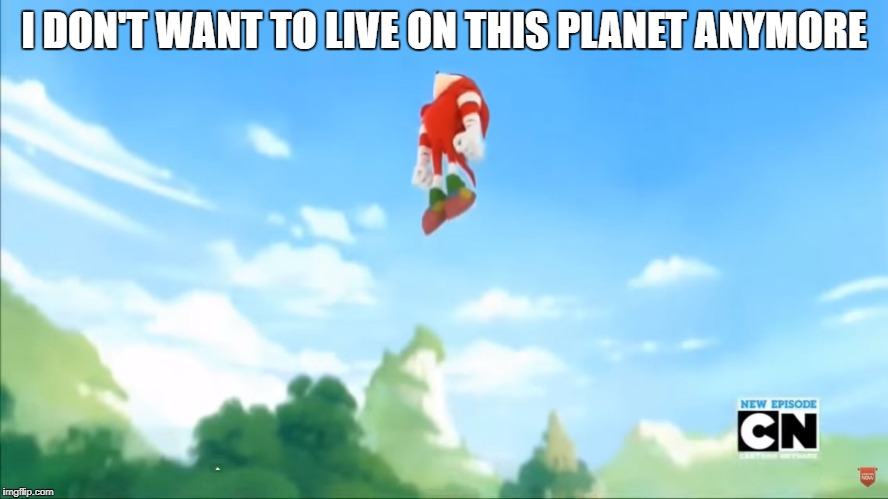 Knuckles Flies - Sonic Boom | I DON'T WANT TO LIVE ON THIS PLANET ANYMORE | image tagged in knuckles flies - sonic boom | made w/ Imgflip meme maker