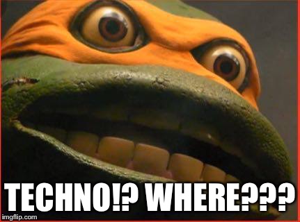 TECHNO!? WHERE??? | image tagged in turtle geeked | made w/ Imgflip meme maker