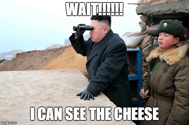 north korea looking at things  | WAIT!!!!!! I CAN SEE THE CHEESE | image tagged in north korea looking at things | made w/ Imgflip meme maker