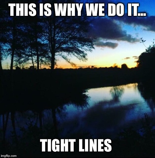 Carp fishing | THIS IS WHY WE DO IT... TIGHT LINES | image tagged in carp,fishing,pool,woods | made w/ Imgflip meme maker