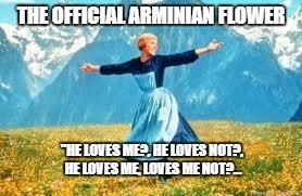 Look At All These Meme | THE OFFICIAL ARMINIAN FLOWER; "HE LOVES ME?, HE LOVES NOT?, HE LOVES ME, LOVES ME NOT?... | image tagged in memes,look at all these | made w/ Imgflip meme maker