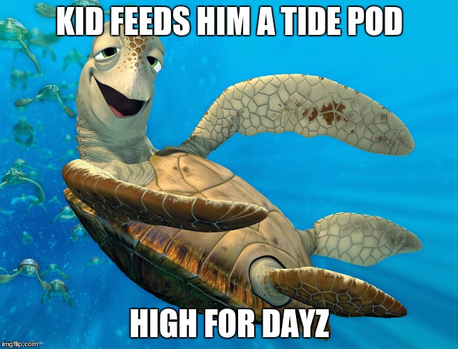 turtle on drugs | KID FEEDS HIM A TIDE POD; HIGH FOR DAYZ | image tagged in turtle on drugs | made w/ Imgflip meme maker
