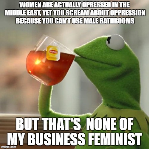 But That's None Of My Business Meme | WOMEN ARE ACTUALLY OPRESSED IN THE MIDDLE EAST, YET YOU SCREAM ABOUT OPPRESSION BECAUSE YOU CAN'T USE MALE BATHROOMS; BUT THAT'S  NONE OF MY BUSINESS FEMINIST | image tagged in memes,but thats none of my business,kermit the frog | made w/ Imgflip meme maker