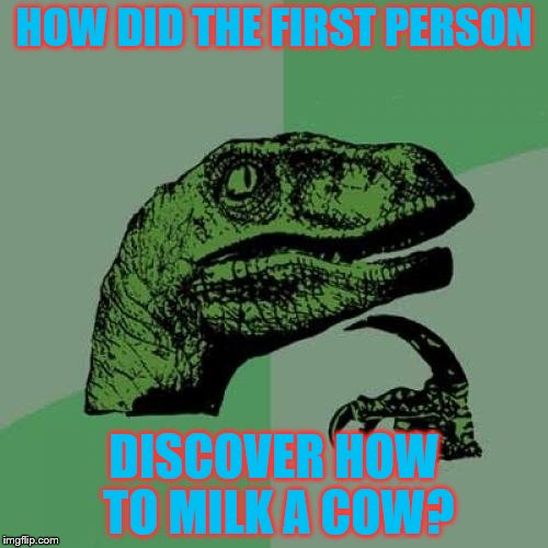 All Jokes Aside, This Is A Serious Question | HOW DID THE FIRST PERSON; DISCOVER HOW TO MILK A COW? | image tagged in memes,philosoraptor | made w/ Imgflip meme maker