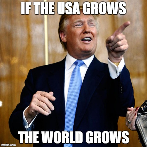 Donald Trump | IF THE USA GROWS; THE WORLD GROWS | image tagged in donald trump | made w/ Imgflip meme maker