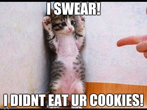 I SWEAR! I DIDNT EAT UR COOKIES! | image tagged in funny cat memes | made w/ Imgflip meme maker