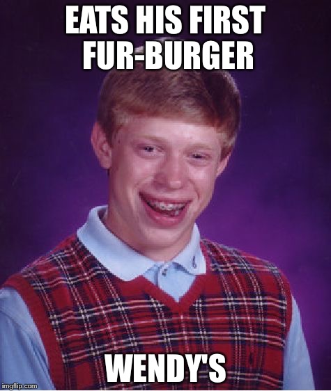 Bad Luck Brian Meme | EATS HIS FIRST FUR-BURGER; WENDY'S | image tagged in memes,bad luck brian | made w/ Imgflip meme maker