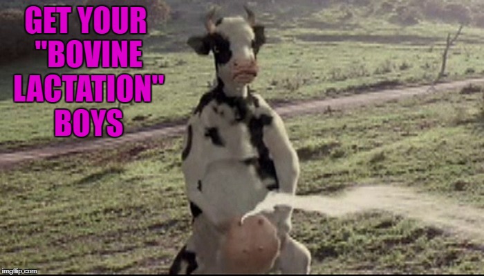 GET YOUR "BOVINE LACTATION" BOYS | made w/ Imgflip meme maker